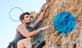 The testosterone myth: what really drives male performance